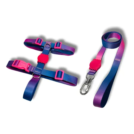 Peitoral H Anti Puxão E Guia Cachorro Pequeno E Médio Porte