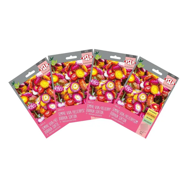 4x Sementes De Helichrysum Sempre-viva (sortida) Super Isla