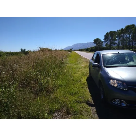 Renault Logan 1.6 Privilége Plus 105cv Nac