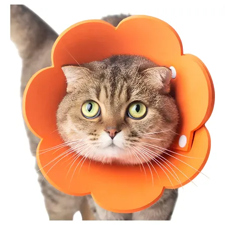 Colar Elizabetano Cirurgia Gato Pet Recuperaçao Ajustavel Laranja
