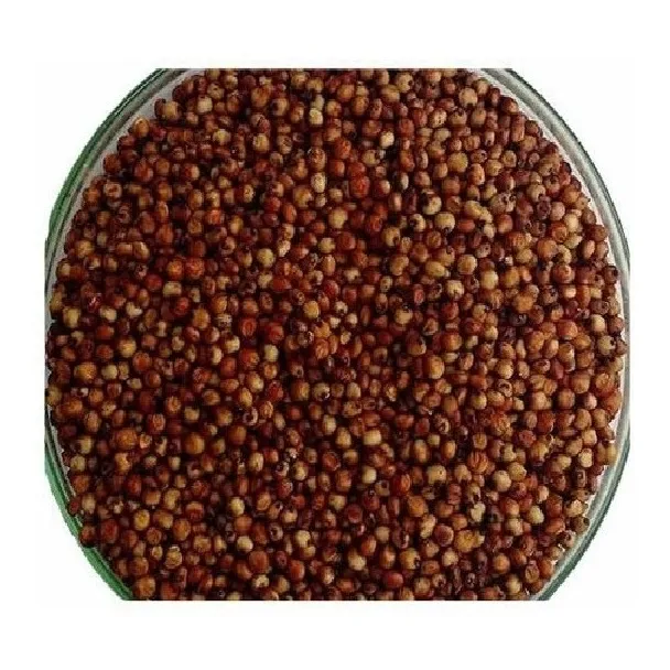 Sorgo Forrajero Variedad Sudan Pasturas X 1 Kg