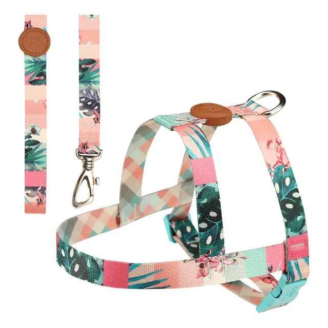Arnes + Correa Toh Talle M Laguna Rosa