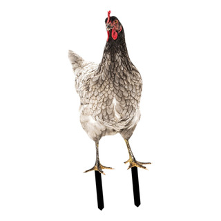 Estatua De Jardín De Pollo, Estaca De Patio De Estilo E Estatua De Jardín De Pollo, Estaca De Patio De Estilo E