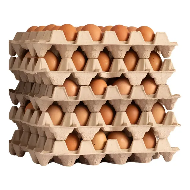 Caja De Huevos De Gallina Libre Extra Color 100 Unidades