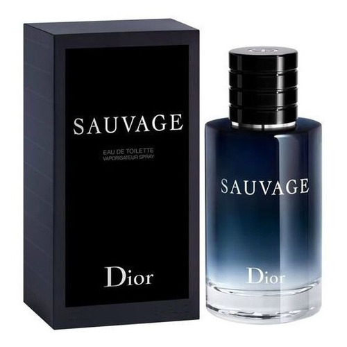 Perfume Masculino Dior Sauvage 100ml Edt Perfume Masculino Dior Sauvage 100ml Edt