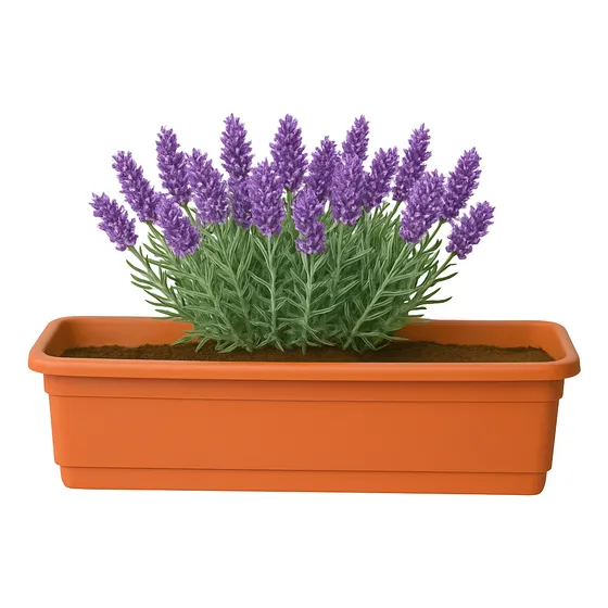 Jardinera 45cm Maceta Plástico Pack X2