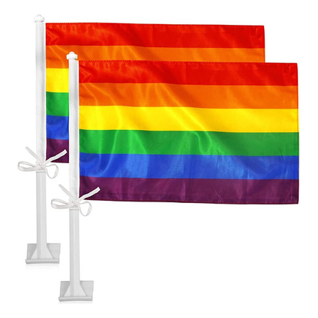 Bandera De La Diversidad Lgbt Oficial Para Auto 30x45 Cm Bandera De La Diversidad Lgbt Oficial Para Auto 30x45 Cm