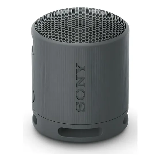 Parlante Sony Srs-xb100/bcla Portatil Bluetooth Color Negro