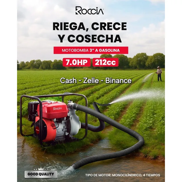 Motobomba 3  A Gasolina De 7hp - Roccia