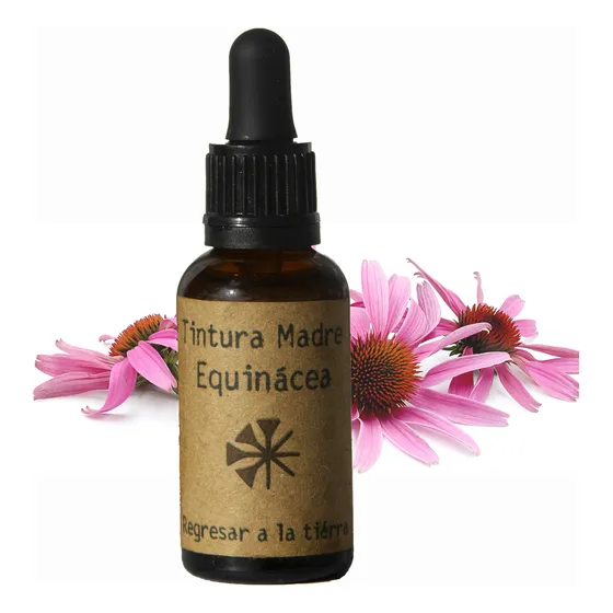 Tintura Madre De Equinácea 100ml - Regresar A La Tierra