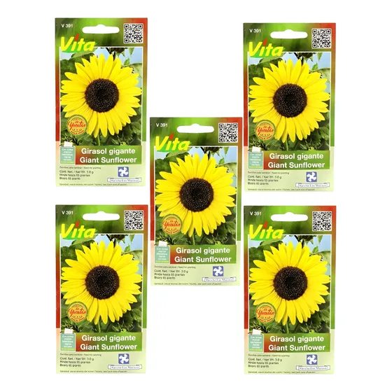 5 Sobres Semillas Para Sembrar Girasol Flor Gigante 3g Vita