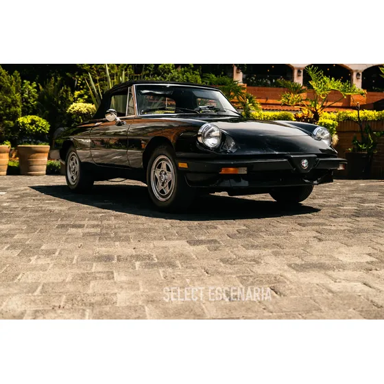 Alfa Romeo Spider