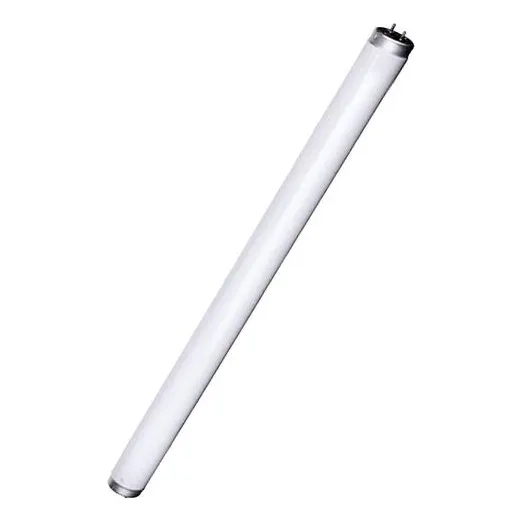 Kit 02 Lampada Fluor 20w T12 G-13 4000k Philips Luz Branco-neutro Usa Reator