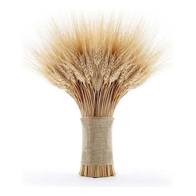 Ramo Fardo De Flores Secas Espiga De Trigo 110 Uni Aprox