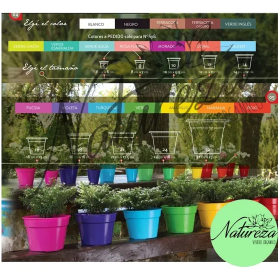 Macetas Tunitas, Suculentas,cactus Pack X20 Natureza Vivero