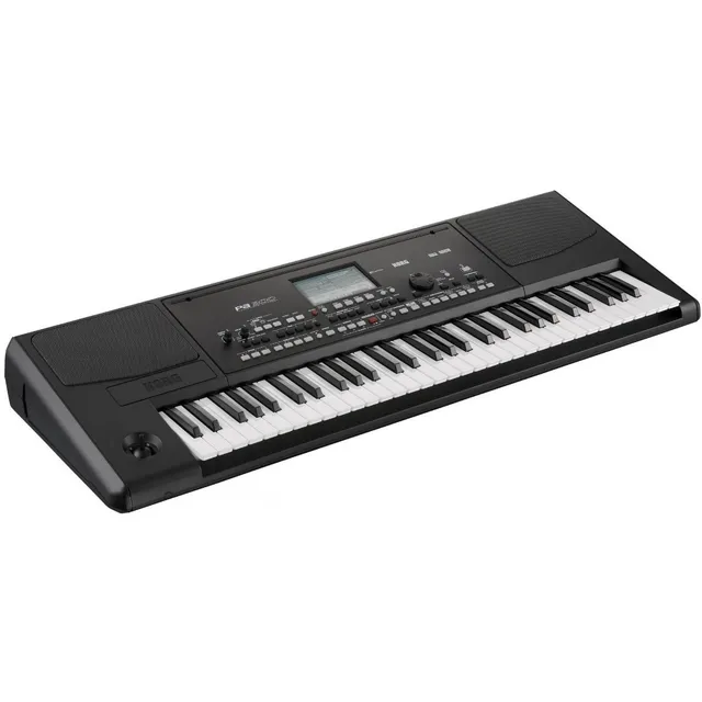 Korg Pa300 Teclado Professional Arranger