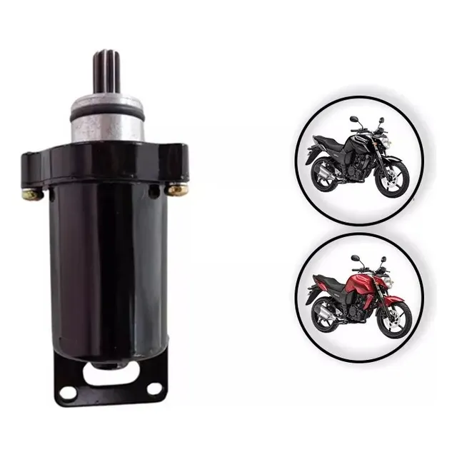 Motor De Arranque Marcha Yamaha Fz 16 10 Dientes