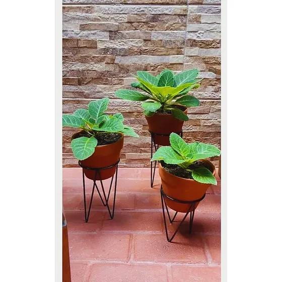 Kit 3 Suportes Tripé Vasos Resistente Plantas Preto Jardim