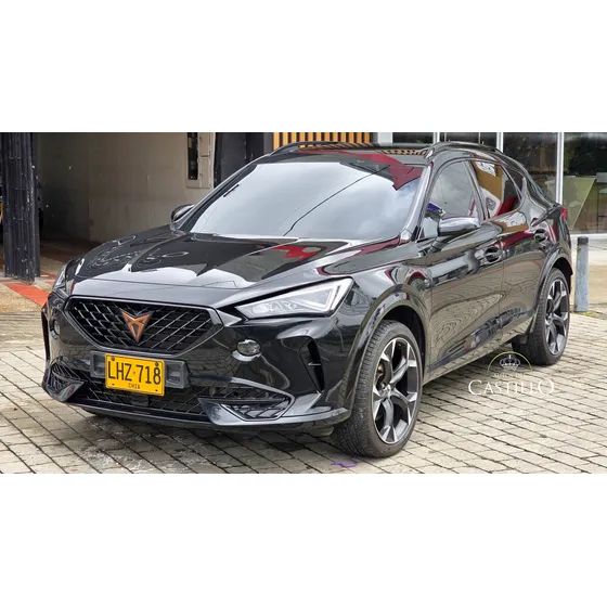 Cupra Formentor 2.0 Tsi Metalizado Dsg