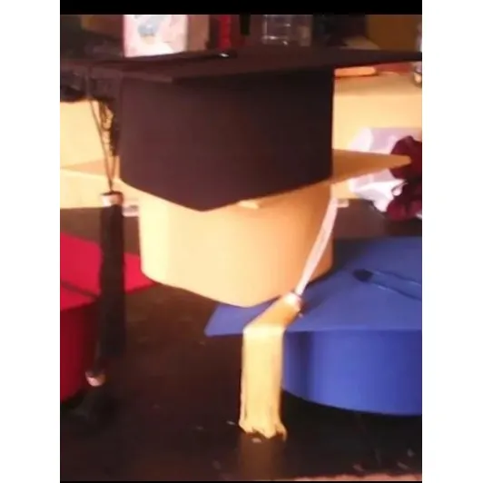 Birretes De Graduación De Tela, Apartir De Seis 