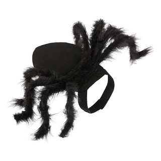 Disfraz De Araña Para Halloween, Ropa De Araña Para Perro Y Disfraz De Araña Para Halloween, Ropa De Araña Para Perro Y