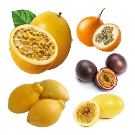 Kit Maracujá 5 Espécies 10 Sementes De Cada Espécie