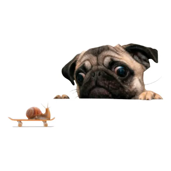 Divertidas Pegatinas 3d Con Forma De Perro Para Coche, Venta