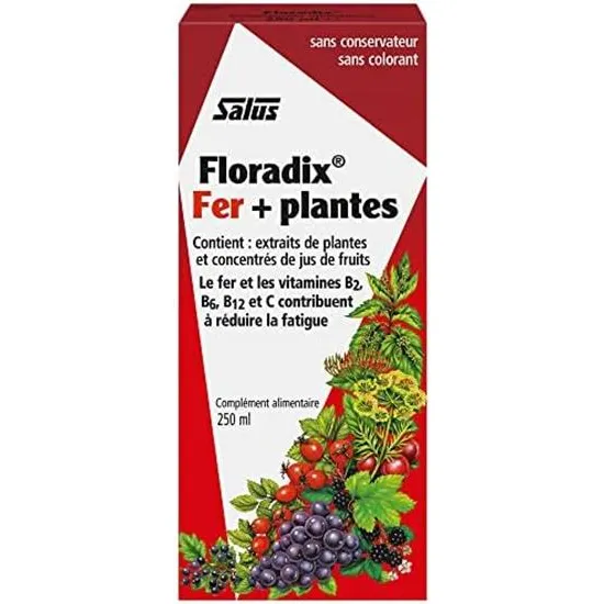 Floradix Fórmula Líquida De Hierro Y Vitaminas 250ml