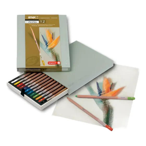 Lápices De Tiza Al Pastel Bruynzeel Estuche De Madera X 12