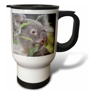 3drose Koala Bear Que Mira A La Derecha Taza De Viaje De Ace 3drose Koala Bear Que Mira A La Derecha Taza De Viaje De Ace