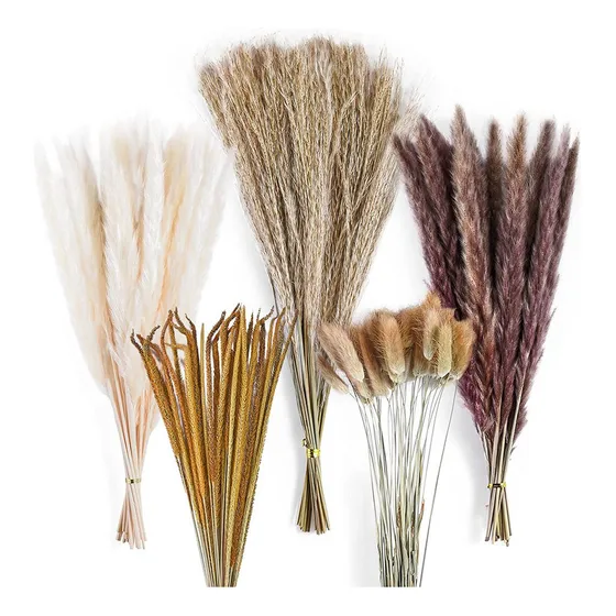 Decoração De Buquê De Grama Seca Dos Pampas, 120 Peças