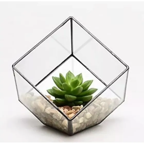 Terrario Cactus Y/o Suculentas Pequeños Tesoros En Vidrio