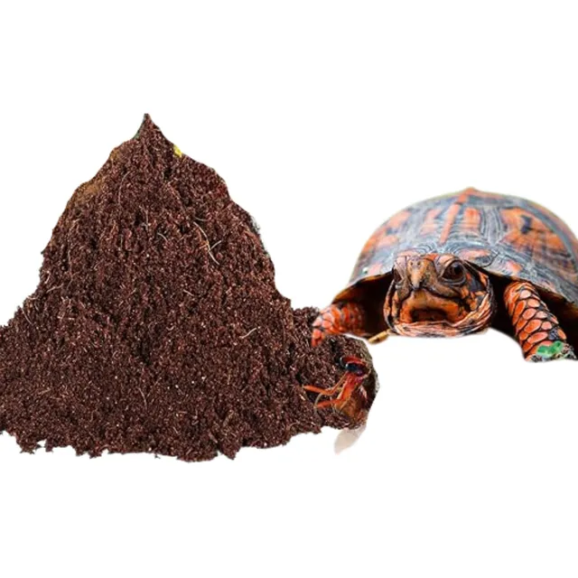Substrato Fibra Pó De Coco Para Répteis Jabuti Aranhas 5lts