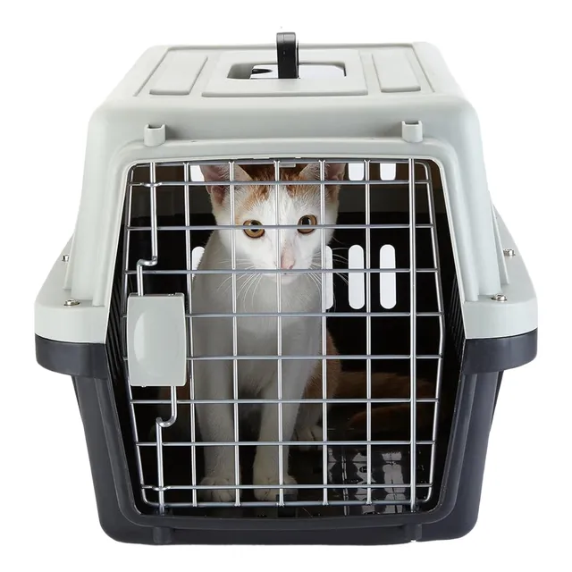 Canil Jaula Para Gatos Caja Acarreo Xs Plástico Anti-hongos