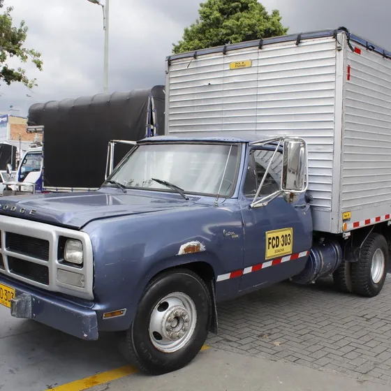 Dodge D300 3.0 1980