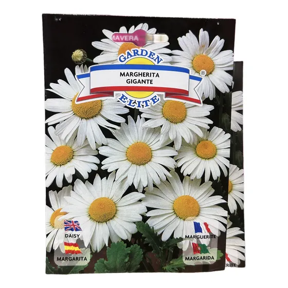 Semillas Flores - Margarita Grande - Envíos