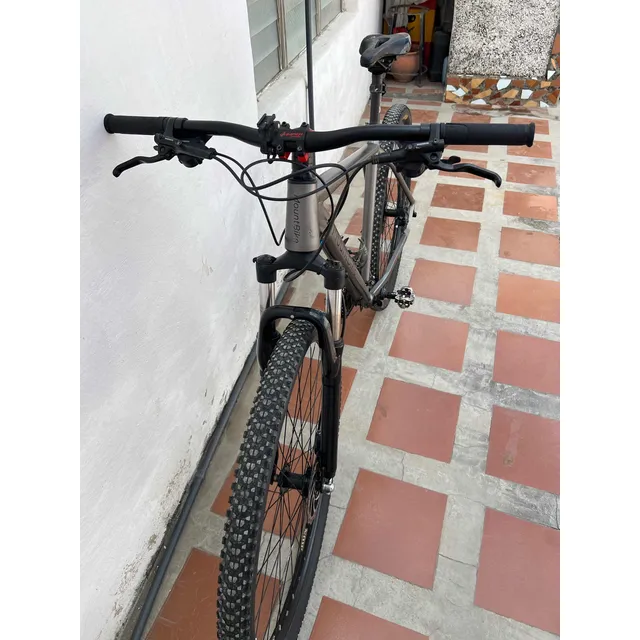 Bicicleta Montañera Rin 29 Talla L