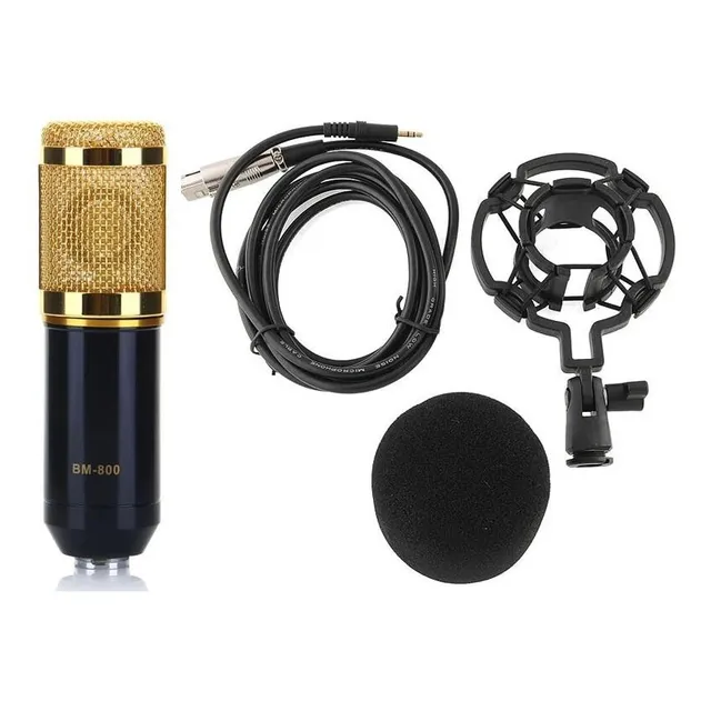 Micrófono Condensador Bm800 Soporte Pc Antipop Brazo Kit