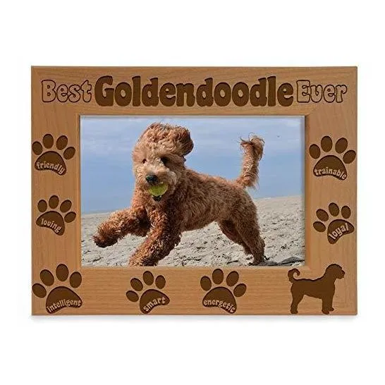 Goldendoodle Picture Frame, Mejor Goldendoodle Ever, X8x7c