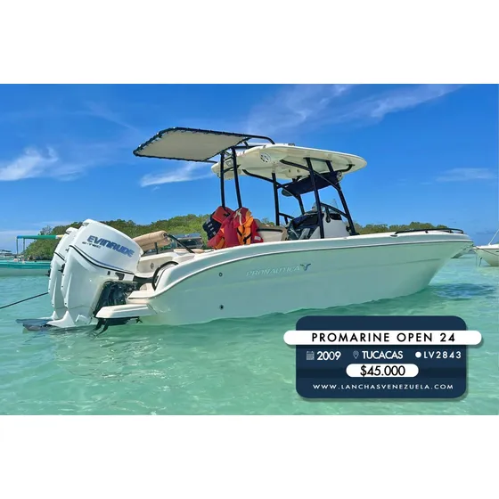 Lancha Promarine Open 24 Lv2843
