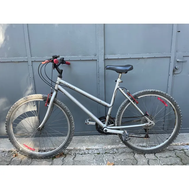 Bicicleta Dama Rodado 26 Paseo Cambio Shimano Gris M