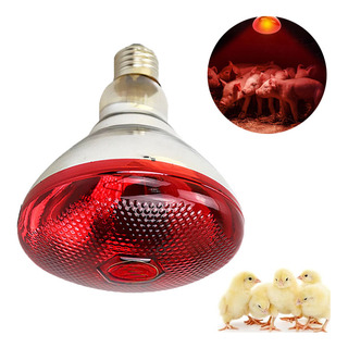 Lâmpada De Calor Infravermelha Vermelha De 200w Para Animais Lâmpada De Calor Infravermelha Vermelha De 200w Para Animais