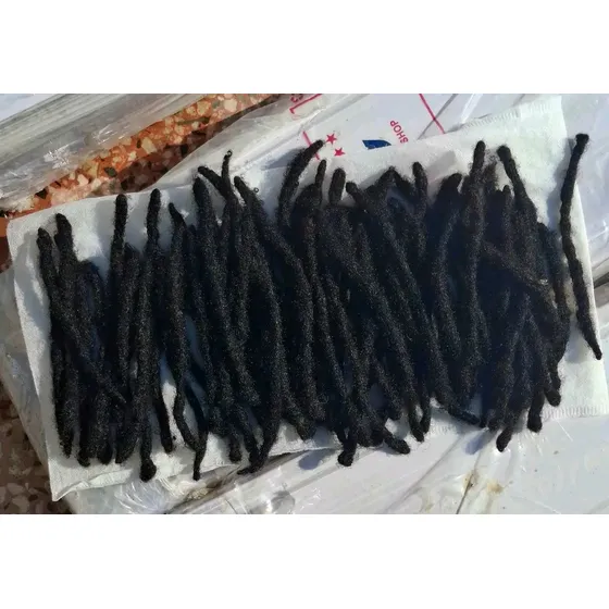 Dreadlocks Rastas 37 Piezas