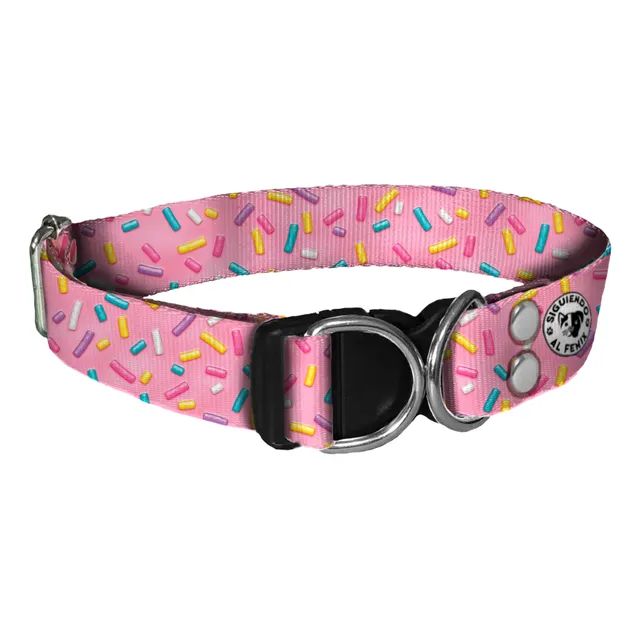 Collar Perro Personalizado Identificacion Ajustable Talle M