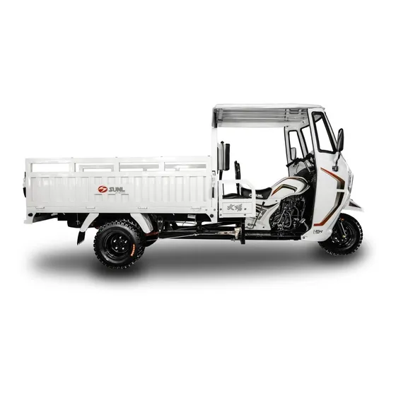 Motocarro Doble Rodado Reforzado 300cc Con Cabina Pick Up 24
