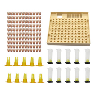 Queen Rearing Cup Box System Kit Para La Cría De Abejas Queen Rearing Cup Box System Kit Para La Cría De Abejas
