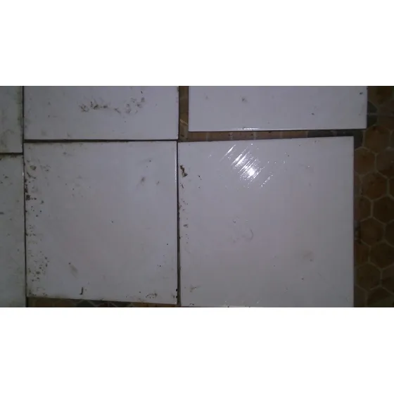 Azulejos 