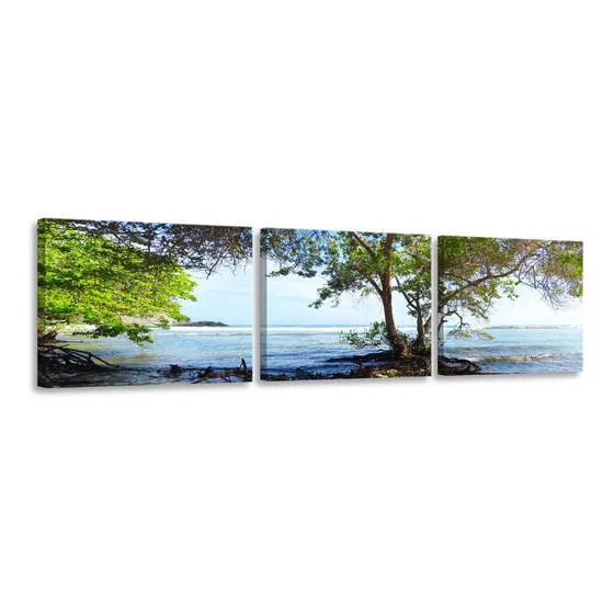 Cuadro Playa Yapascua Edo Carabobo Multipanel Foto Canvas