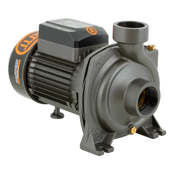 Bomba Centrífuga De Gran Caudal Bhfm6c 1,5hp - Bercatti Color Gris
