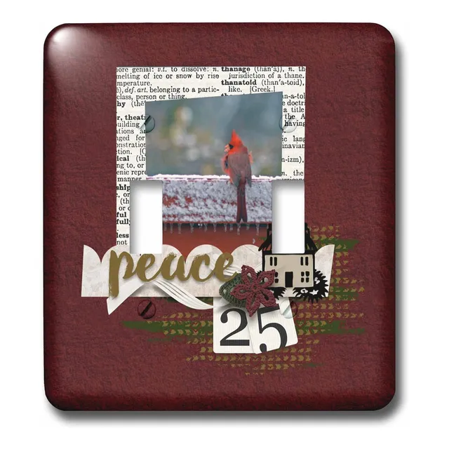 Cardenal Invierno Paz Casa 25 Flor Noticias. Tapa Luz